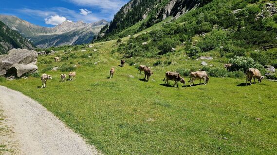 Foto de Gerrit van der Linde a lo largo del recorrido