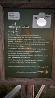 Foto von Torsten Scholz entlang der Tour