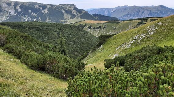 Fotografija s spletne strani Aga M na poti