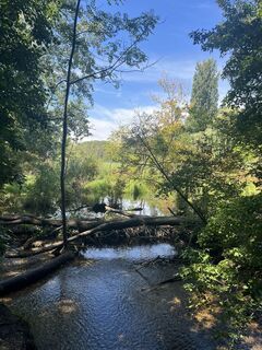 Fotografia z Marlene Hronicek na trase