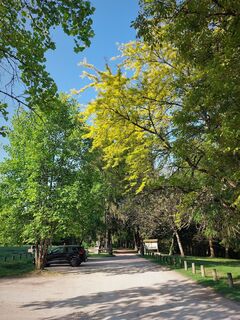 Forêt de Rothonne à Belley