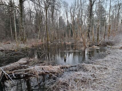 Foto von Felix entlang der Tour
