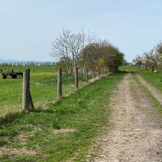 Bienstädt - Flurweg mit Inselsberg-Blick