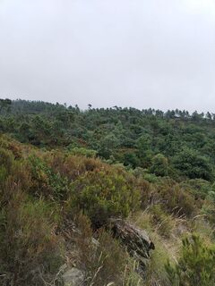 Foto von cinzia graziano entlang der Tour