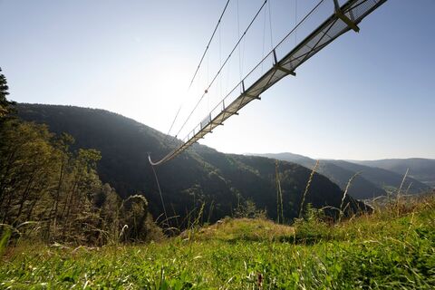 Hängebrücke Blackforestline von unten