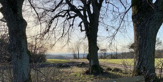 Fotografia z Rupert Hoeppe na trase