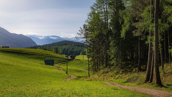 Wiesenweg bei Reith