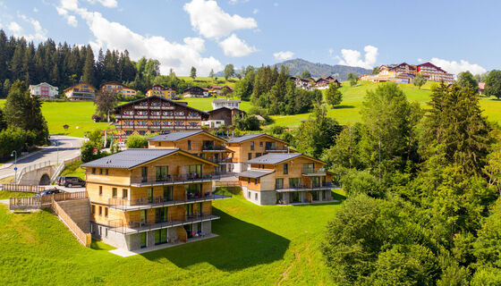 Panorama Lodge Schladming Appartement Resort