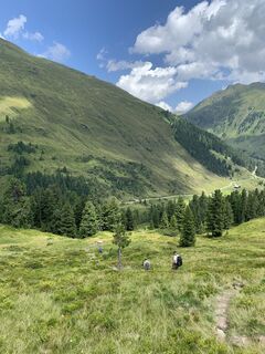Photo de Koen De Wit le long du parcours