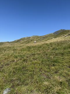 Foto von Sarah Dürr entlang der Tour