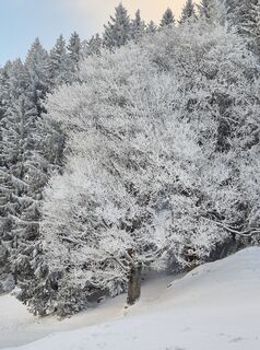 Foto von Thomi W entlang der Tour