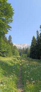 Foto von Bergpirat entlang der Tour