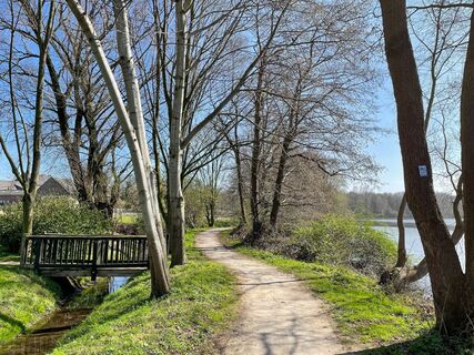 Brücke über den Pletschbach