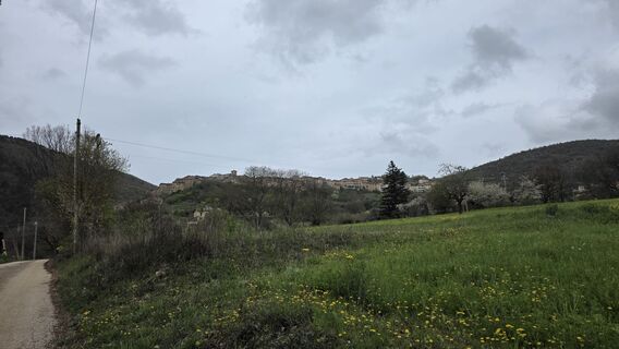 Fotografie z Matteo Allegri na trase