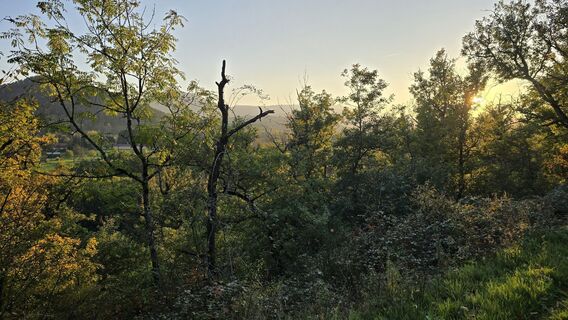 Foto von Katja Senkel entlang der Tour