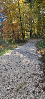Foto de Johann Schallinger a lo largo del recorrido