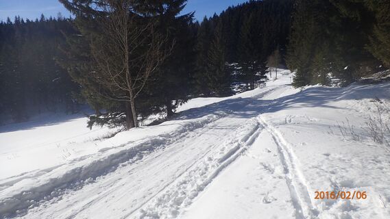 nach dem Gscheid