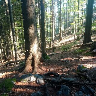Photo de Lisa Pimminger 1 le long du parcours