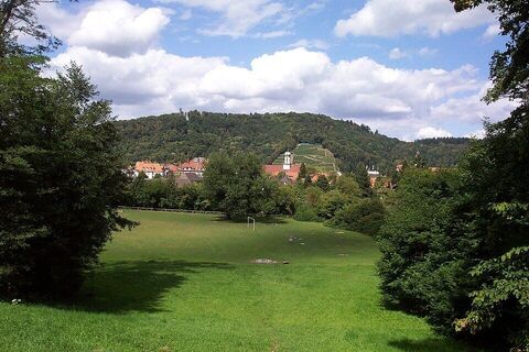 Freiburg-Sternwaldwiese-Copyright-Jesse