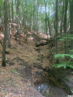 Fotografia z Meli61 na trase