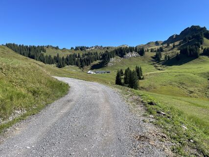 Foto von T Ebenhoch entlang der Tour
