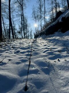 Foto de Ernest Dejanovic a lo largo del recorrido
