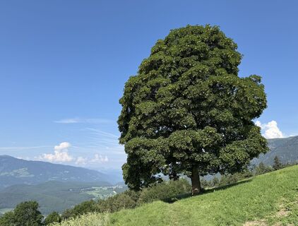 Foto von “Jerry” Brunetti entlang der Tour