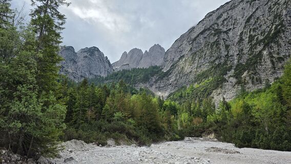 Fotografija s spletne strani euterpe42 na poti