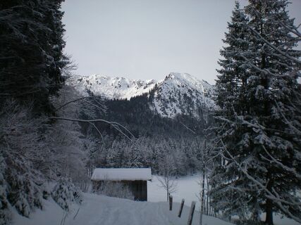 Blick zum Kratzer