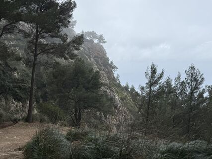 Photo de Norbert Herbig le long du parcours