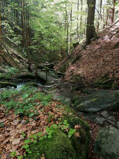 Fotografie z Dagmar Hofer na trase