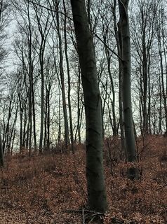 Fotografia z Julika Jármer na trase