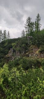 Foto de Mirko milanese a lo largo del recorrido