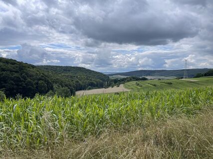 Foto von holgerwag entlang der Tour
