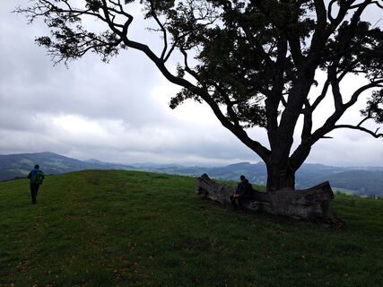 Fotografia z Walter Köllner na trase