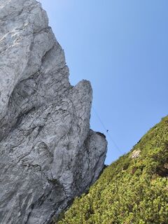 Photo de Conrad H le long du parcours