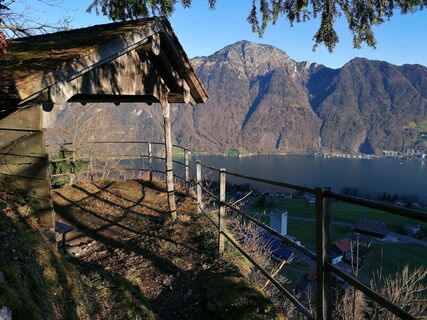 Fotografia z luyyy na trase