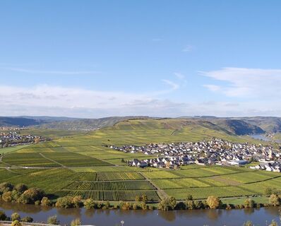 Die Moselschleife zwischen Trittenheim und Leiwen