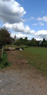Photo de Sandra K. 2 le long du parcours