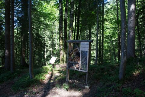 Walderlebnispfad Ettal, Insektenhotel