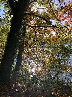 Foto von Enrico Schneider entlang der Tour
