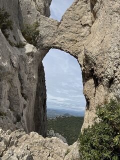 Foto de Grizzli a lo largo del recorrido