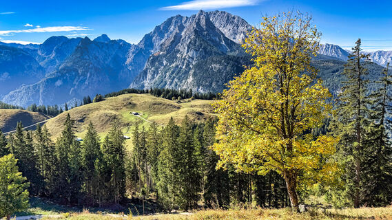 Foto de Berchtesgaden TV a lo largo del recorrido