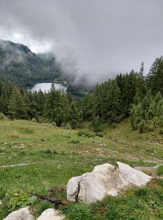 Foto von Ingeborg Novacek entlang der Tour