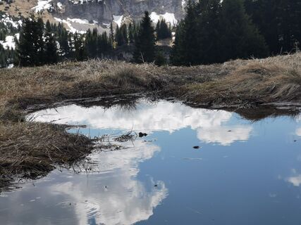 Fotografija s spletne strani Steinbock na poti