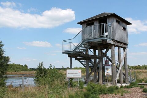 Torfwerk Hahnenmoor, Herzlake