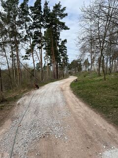 Foto da Mike Fromm lungo il tour