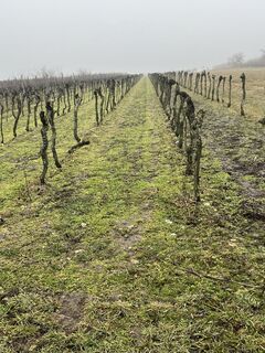Photo de Dagmar Angst le long du parcours