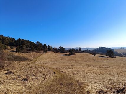 Foto de Žaneta Schelling a lo largo del recorrido