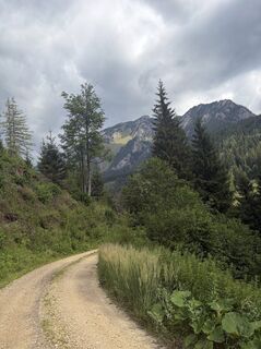 Photo de Mandy Friedrich le long du parcours